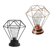 Edison Style Metal Terrarium Lamp Warm White LEDs Wire Lights Battery Operated Night Lamp